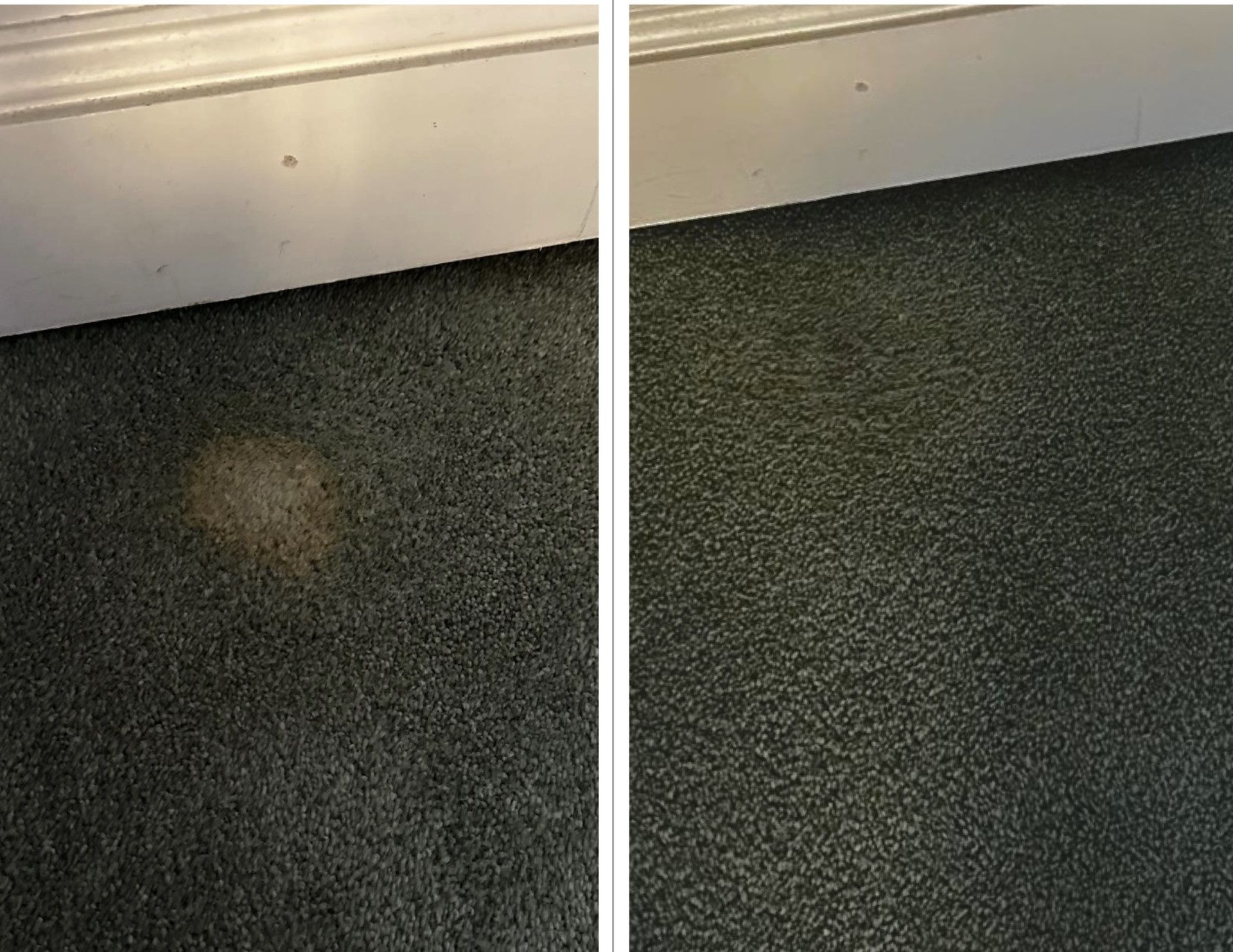 PM Carpet Cleaning – Bleach Spot Colour Dyeing